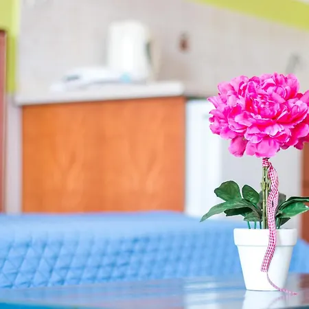 Mosaic Garden Anastasias ファリラキ